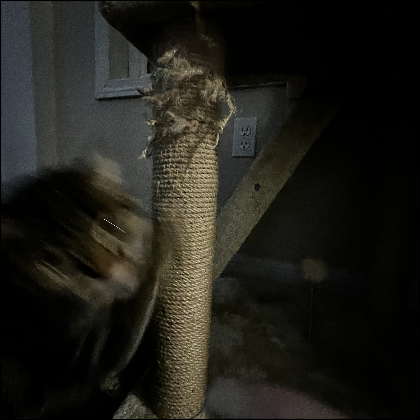Cat scratching a scratch post