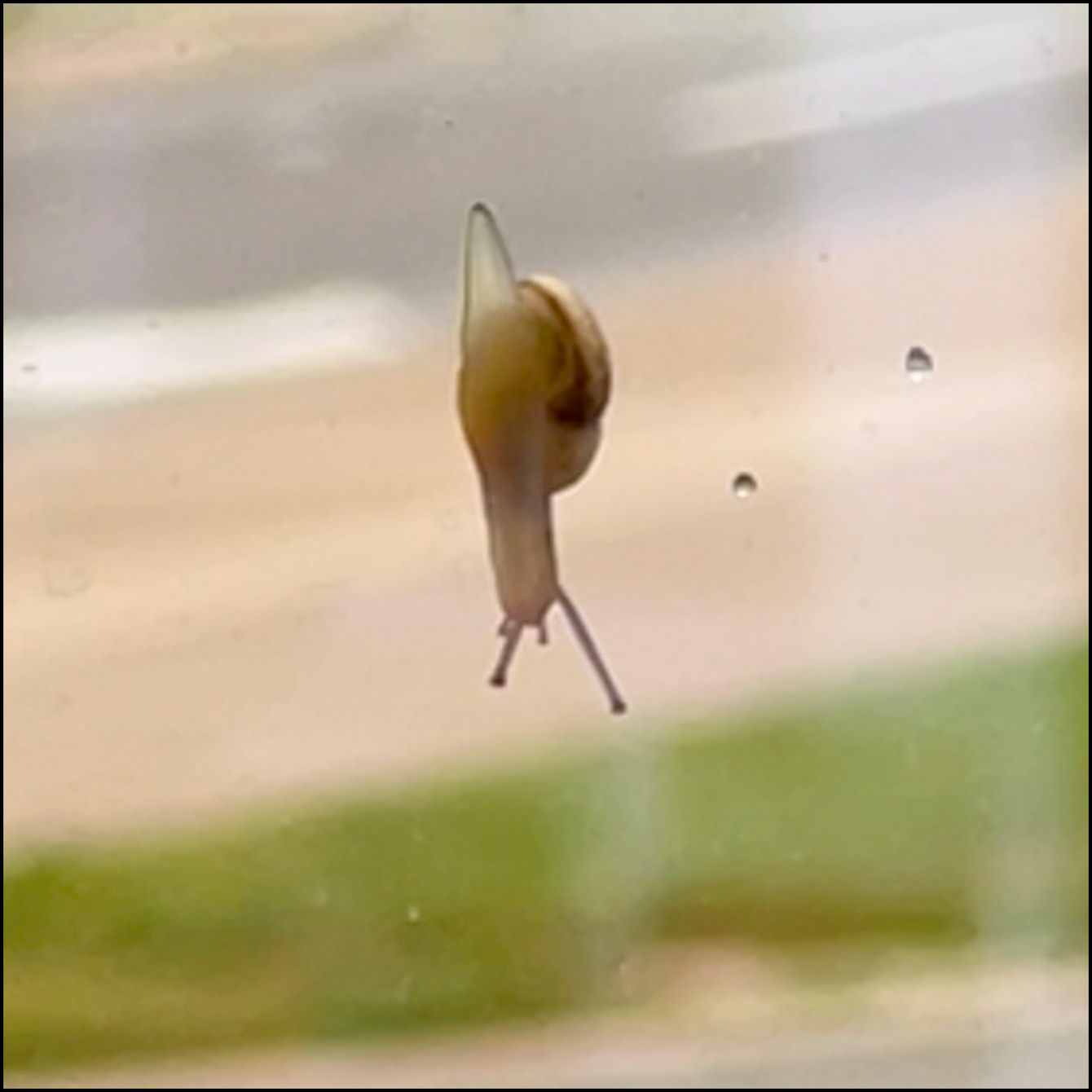 Ambient sounds of a library